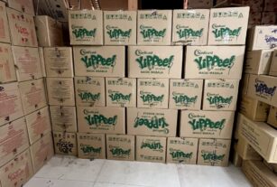 WhatsApp Image 2025-02-10 at 12.44.08 PM