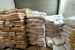 WhatsApp Image 2025-02-10 at 12.44.09 PM