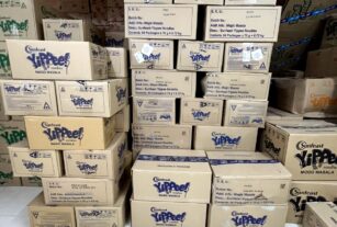 WhatsApp Image 2025-02-10 at 12.44.16 PM